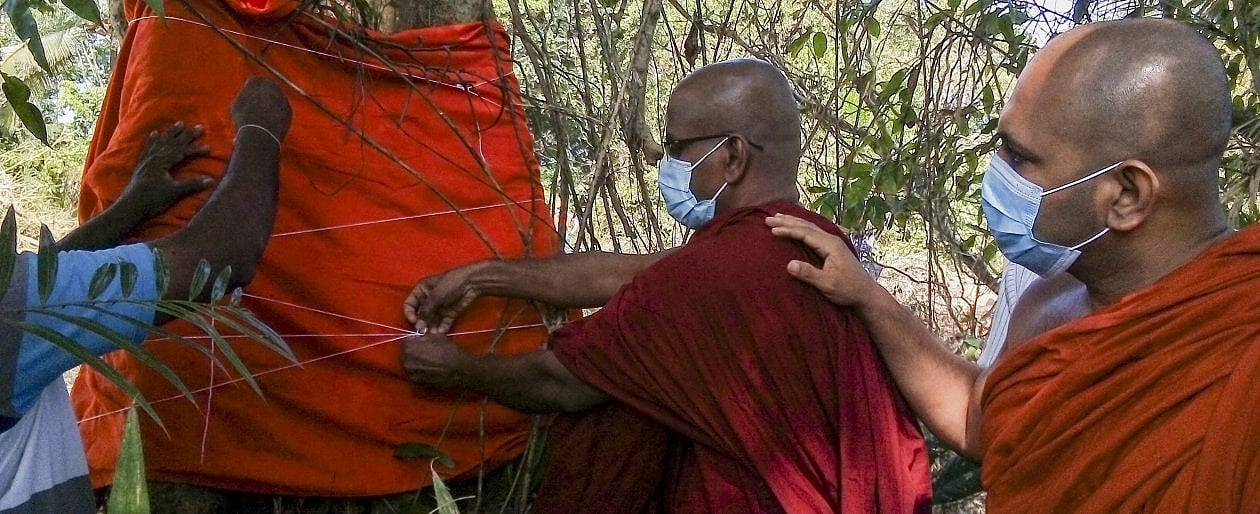 I monaci buddisti salvano l’ultimo esemplare di legume dello Sri Lanka: “L’autostrada cambierà percorso”