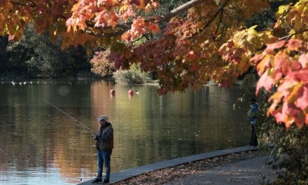 Usa, addio foliage: i cambiamenti climatici stanno cancellando la magia dei colori dell’autunno