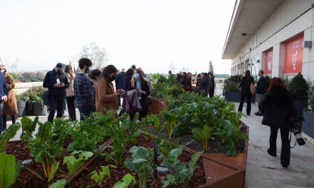 C’è un orto bio sul tetto della Fao: “Sperimentiamo soluzioni contro la carenza di cibo in zone fragili”