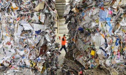Le 25 vite di carta e cartone: molto più riciclabili di quanto si pensasse