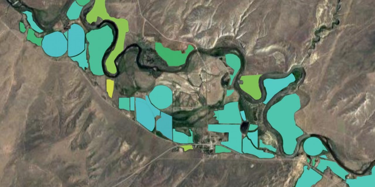 Le immagini da satellite e la capacità di elaborazione dati di Google per la tutela dell’ambiente