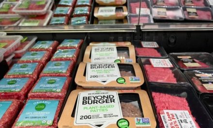 In laboratorio o vegetale: le alternative alla carne nei supermercati (o al ristorante)