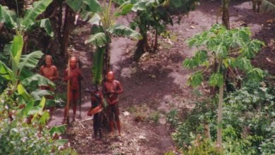 In Amazzonia la nuova tribù di incontattati rischia di sparire. Le ong: “Proteggerla vuol dire salvare il Pianeta”
