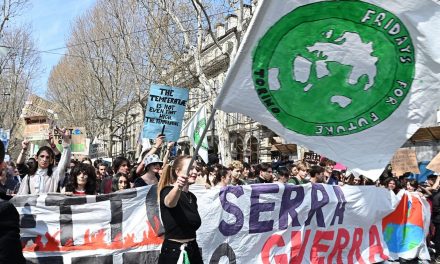 “Lo sciopero globale per il clima un flop? Fridays for Future sta crescendo”