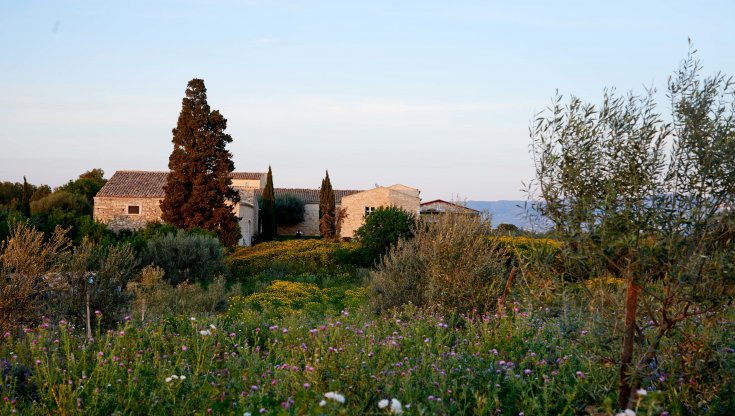 Vacanza: italiana & sostenibile. Dalla Toscana alla Sicilia, le migliori idee ecofriendly