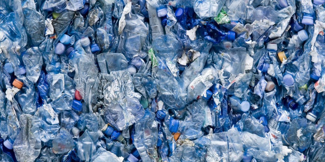 Creato un enzima mangia plastica per eliminare miliardi di tonnellate di rifiuti