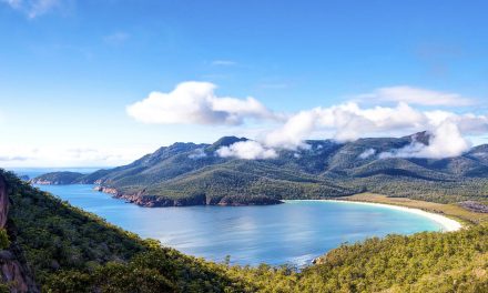 La lezione della Tasmania: dalla deforestazione a Paese che assorbe più CO2 di quanta ne emette