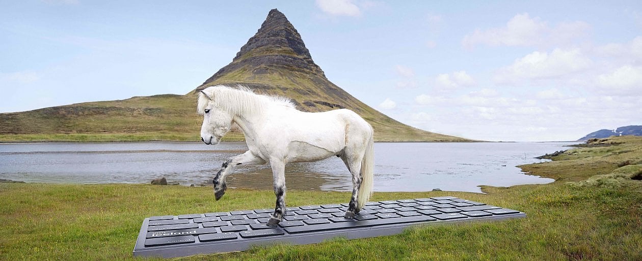Islanda, tra ghiacci e geyser senza notifiche: un cavallo digita la risposta automatica alle mail