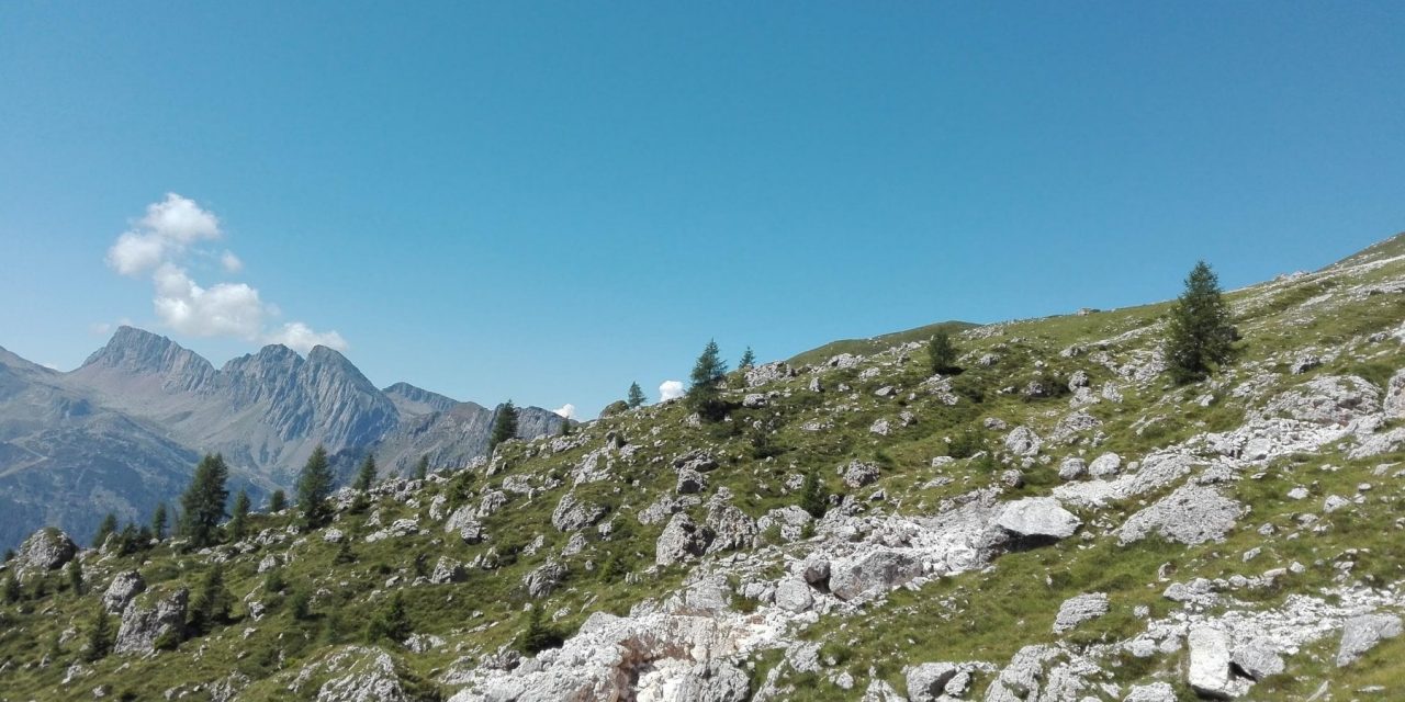 Le Alpi sono sempre più verdi e meno bianche: la neve arretra e aumenta la vegetazione