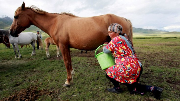Kirghizistan, latte fermentato equino per attirare i turisti: “Bevetelo e fateci il bagno: è tutta salute”