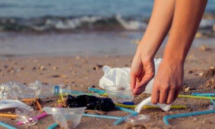 Tre amici e un paguro: “Roko”, un cortometraggio contro la plastica in spiaggia