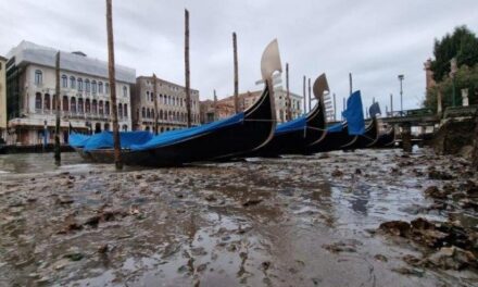 A Venezia i canali restano senz’acqua: gondole in secca appoggiate sui fondali