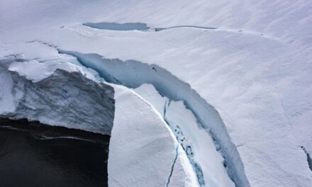 Il ghiaccio marino antartico raggiunge il secondo livello più basso per estensione