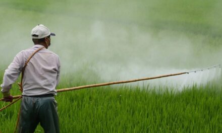 Non può esserci salute globale senza ridurre l’uso dei pesticidi