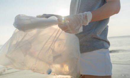Crescono i rifiuti sulle spiagge italiane (961 ogni 100 metri): non solo plastica, aumentano quelli dell’edilizia
