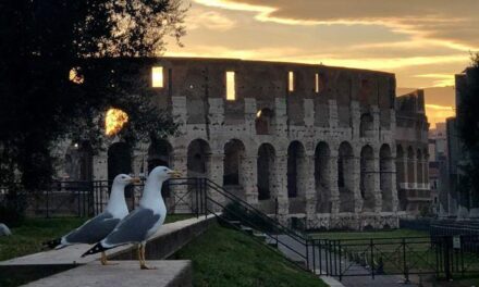 Nel Parco del Colosseo, un ecosistema nella storia