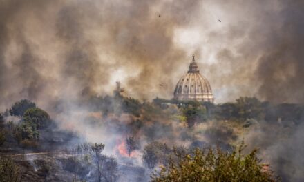 Nel 2022 bruciati oltre 68mila ettari di foreste. La Sicilia la più colpita, aumentano i fuochi a Nord