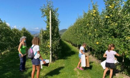 Trentino, raccogliere le mele per riscoprire i territori: la proposta alternativa contro il turismo di massa